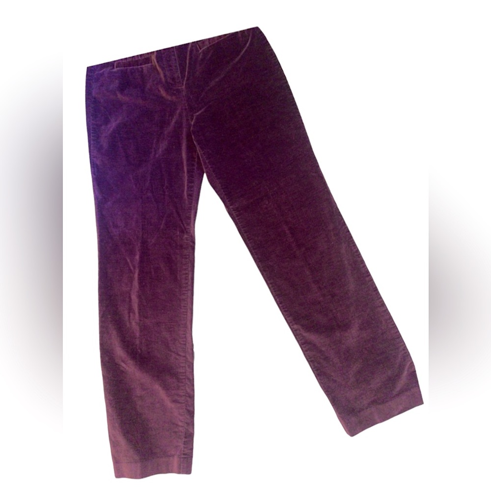 Talbots size 8 rich velvety brown pants. Perfect for fall!